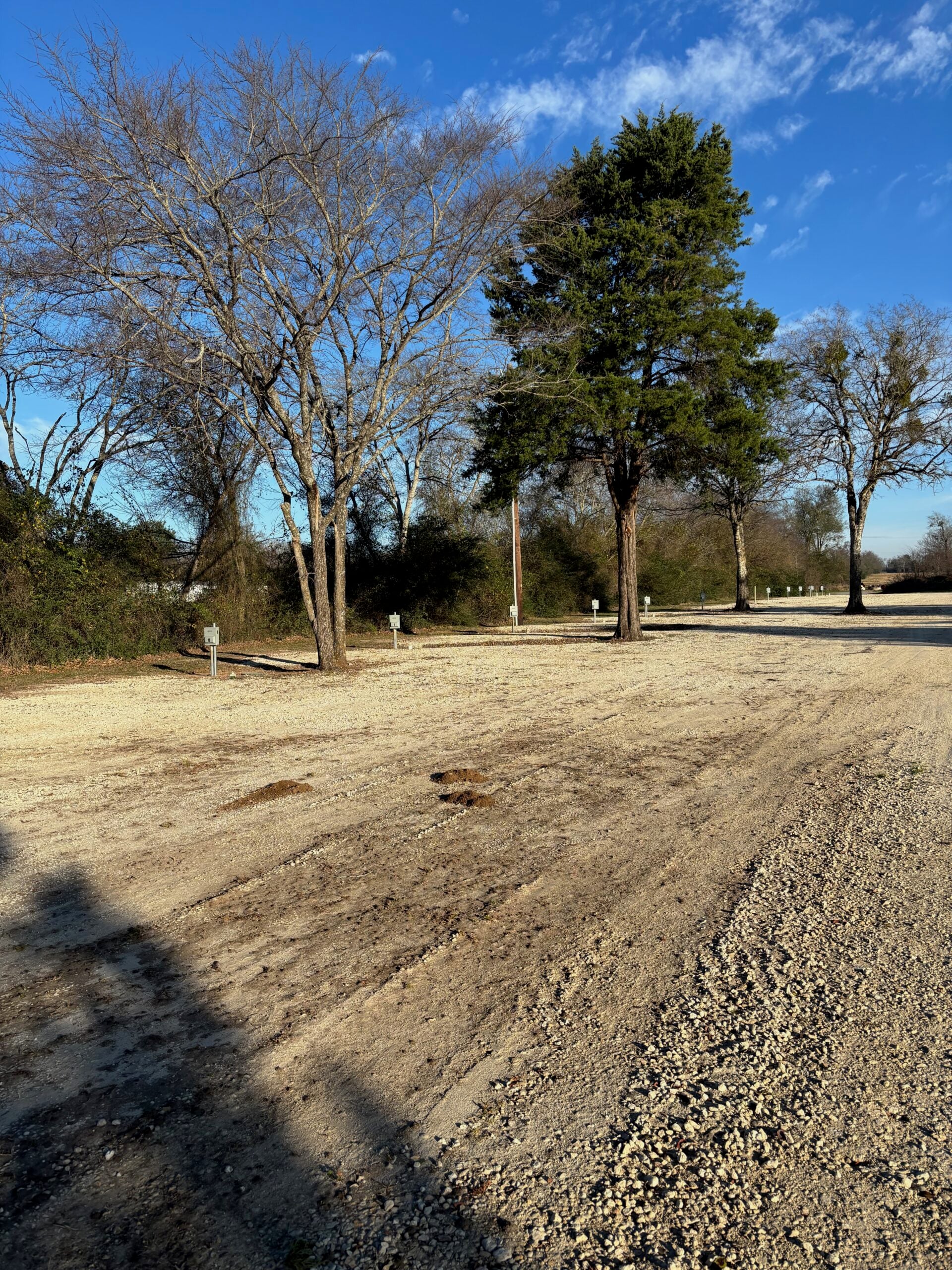 A dirt and gravel road runs alongside leafless trees and a few evergreen trees under a clear blue sky.